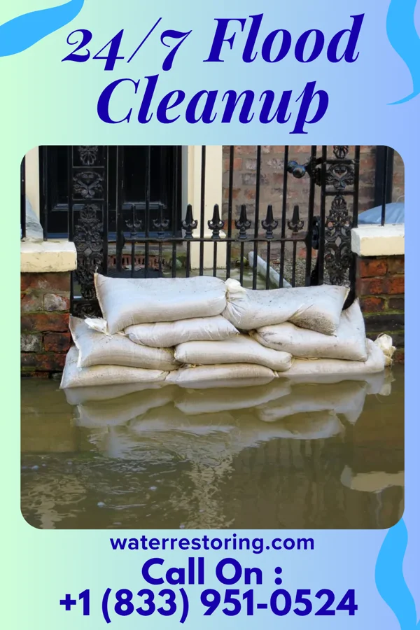 24/7 Flood Cleanup in Malden-on-Hudson, NY