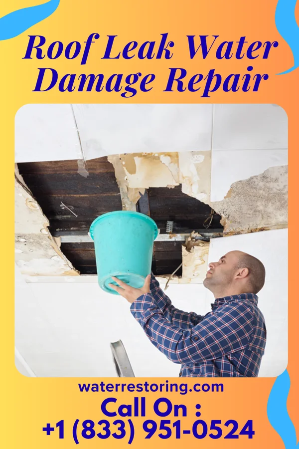 Roof Leak Water Damage Repair in Malden-on-Hudson, NY