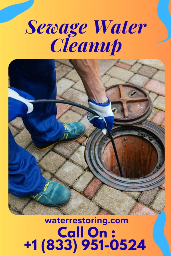 Sewage Water Cleanup in Malden-on-Hudson, NY