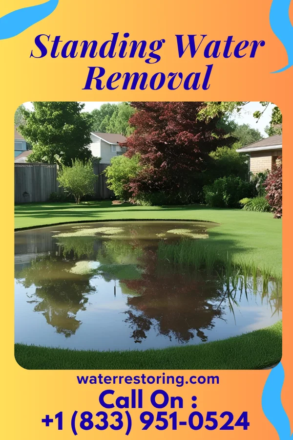 Standing Water Removal in Malden-on-Hudson, NY